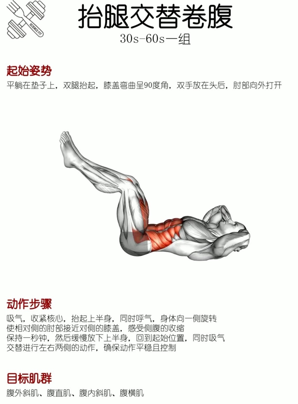 腹肌训练的奥秘与实战指南