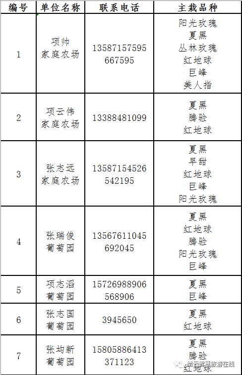 鲁采餐饮绩效考核，提升业绩的关键要素